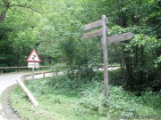 Camino Pagomakurre 2.jpg