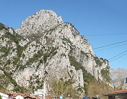 P1030068 l.jpg